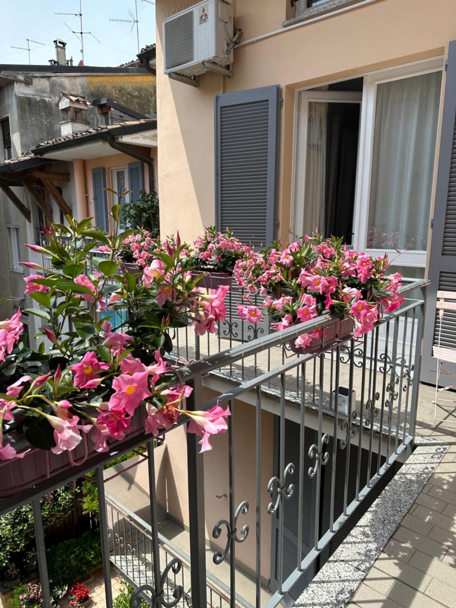 D-Place Apartment Piazza Duomo クレーマ エクステリア 写真